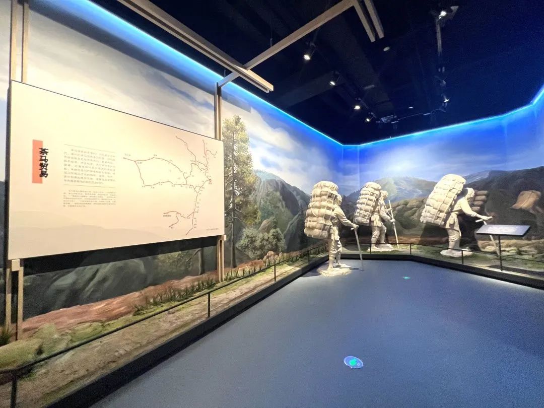 天府农博游玩心情,天府农业博览园一日游