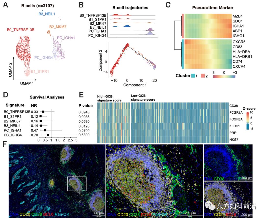 科研进展|北院妇科课题组在EMBOJ发表高水平文章
