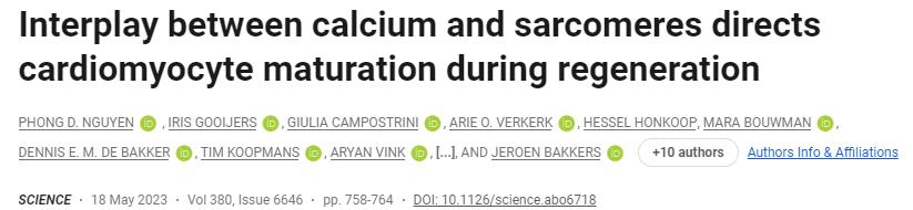 心肌修复与再生,修复心脏的最好方法