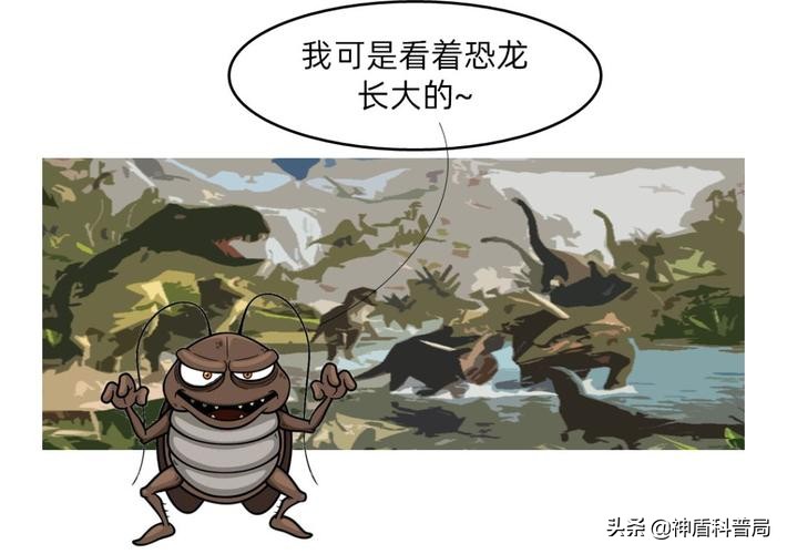 明明蟑螂爬到身上就不见了,有人把蟑螂给踩死了