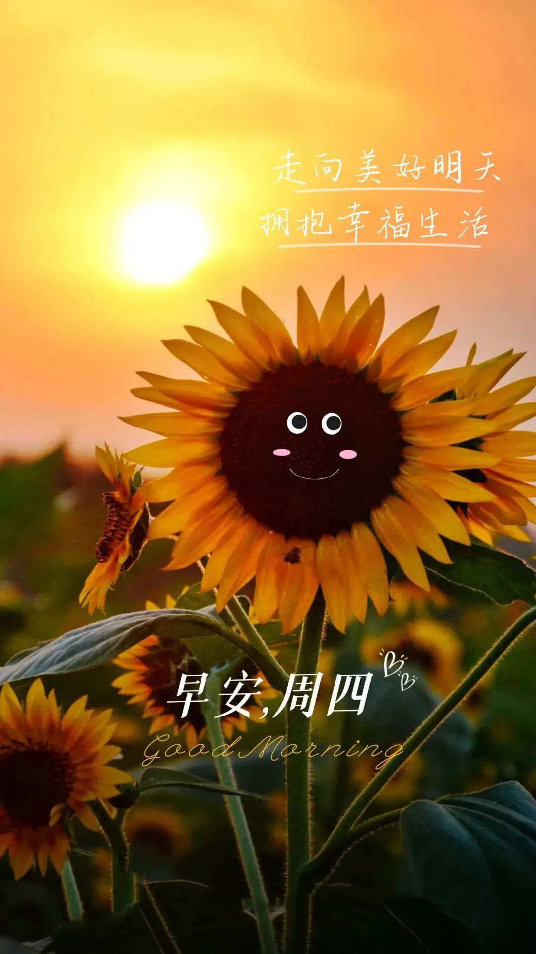 「2022.11.03」早安心语，正能量经典哲理语录句子很赞的问候图片