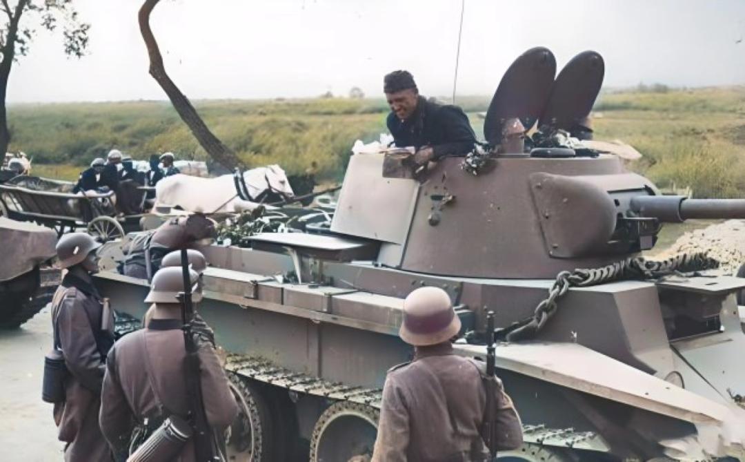 罕见的场面,罕见的场景美景