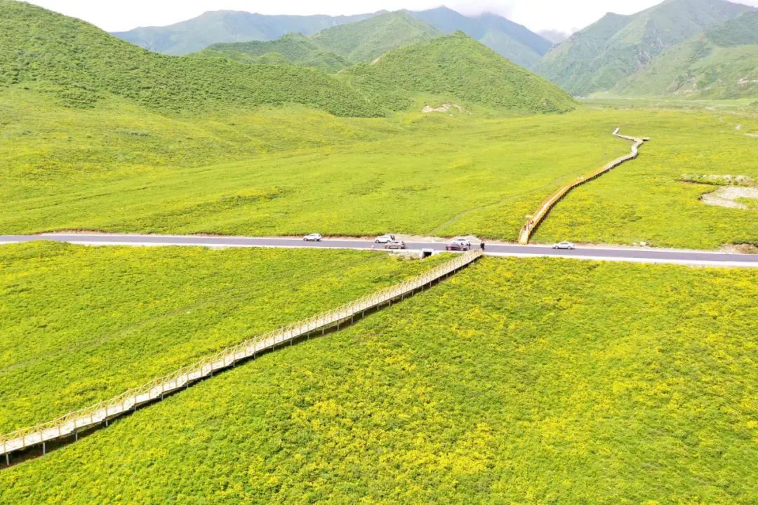 速收！兰州出发，临夏太子山旅游大通道及3-5日大环线自驾游攻略！