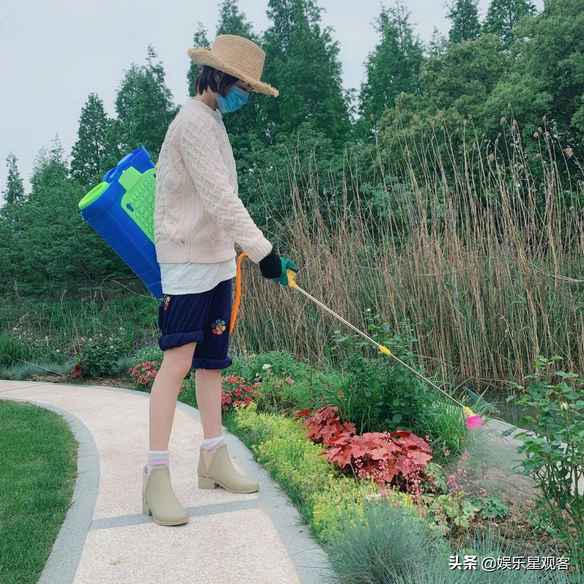 有种整容叫张馨予,张馨予为什么和李晨分手