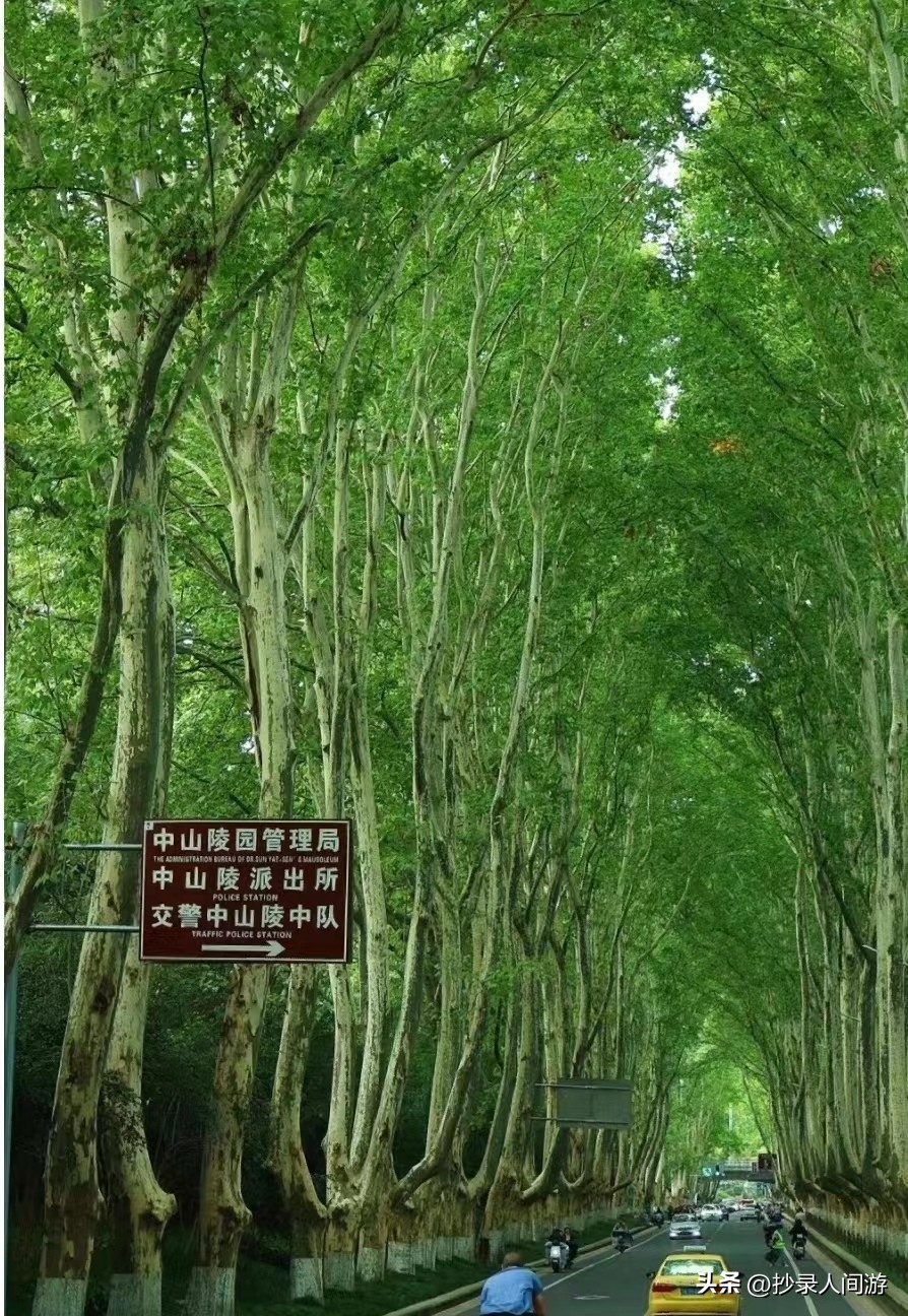 离江苏最近适合旅游的海边城市,江苏城市旅游热度排名