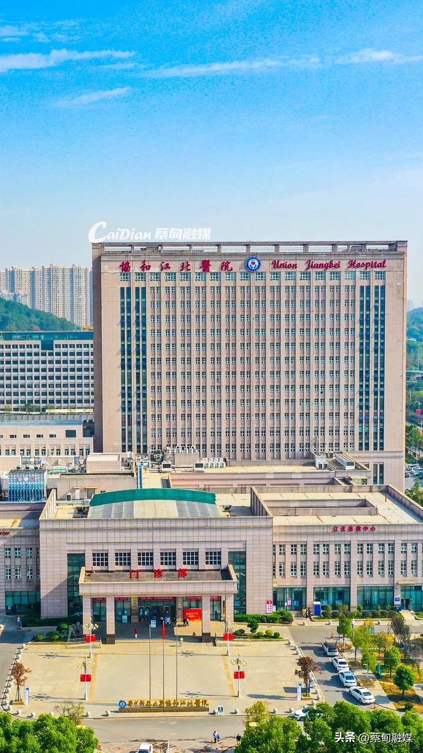 蔡甸区最新重点建设,蔡甸中法生态宜居新城