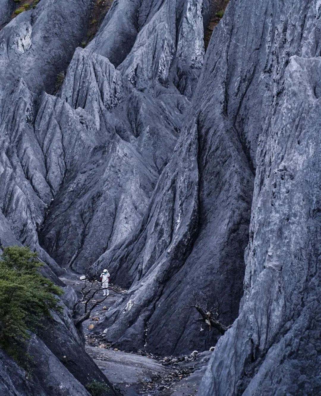 火出了圈,甘孜文旅局长化身侠客火出圈
