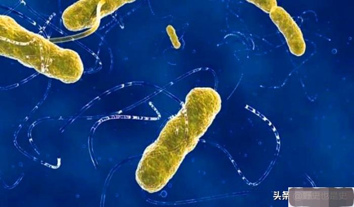 人死后开棺为什么看到嘴里出血,人死进棺材