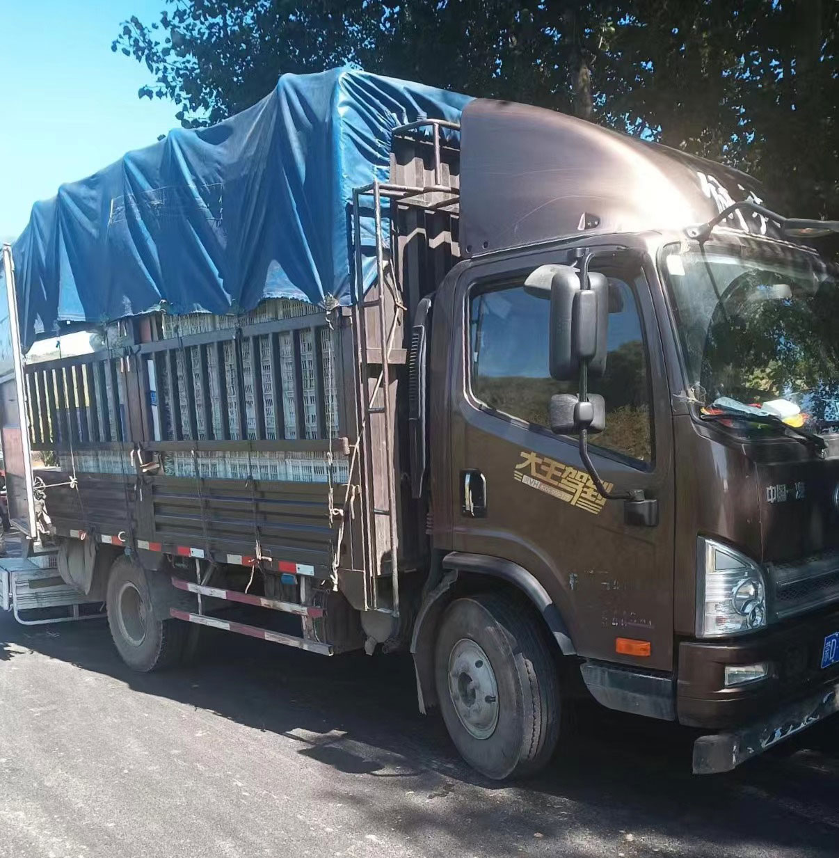 拉绿通卡友,拉绿通司机真实感受