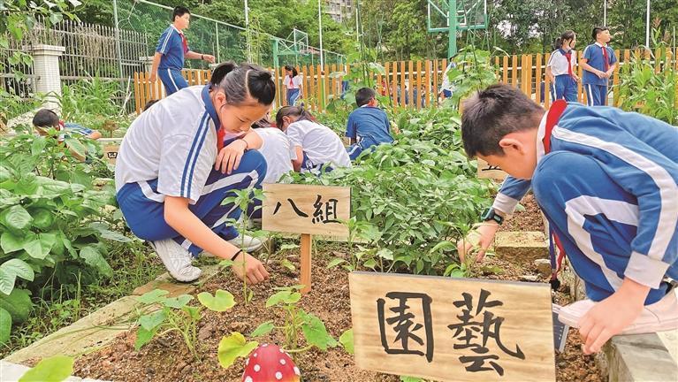 宝安区海港小学怎么样,海港小学深圳