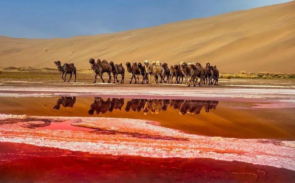 沙漠的绝景,沙漠壮丽的景色