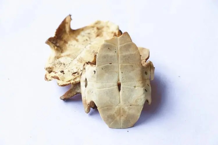 治疗湿热型糖尿病的药方,糖尿病阴虚燥热治疗的中药