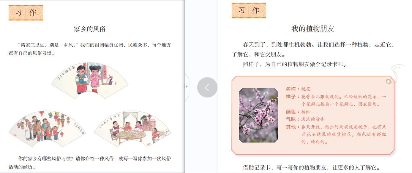 我在景晖教语文（2022第二周）