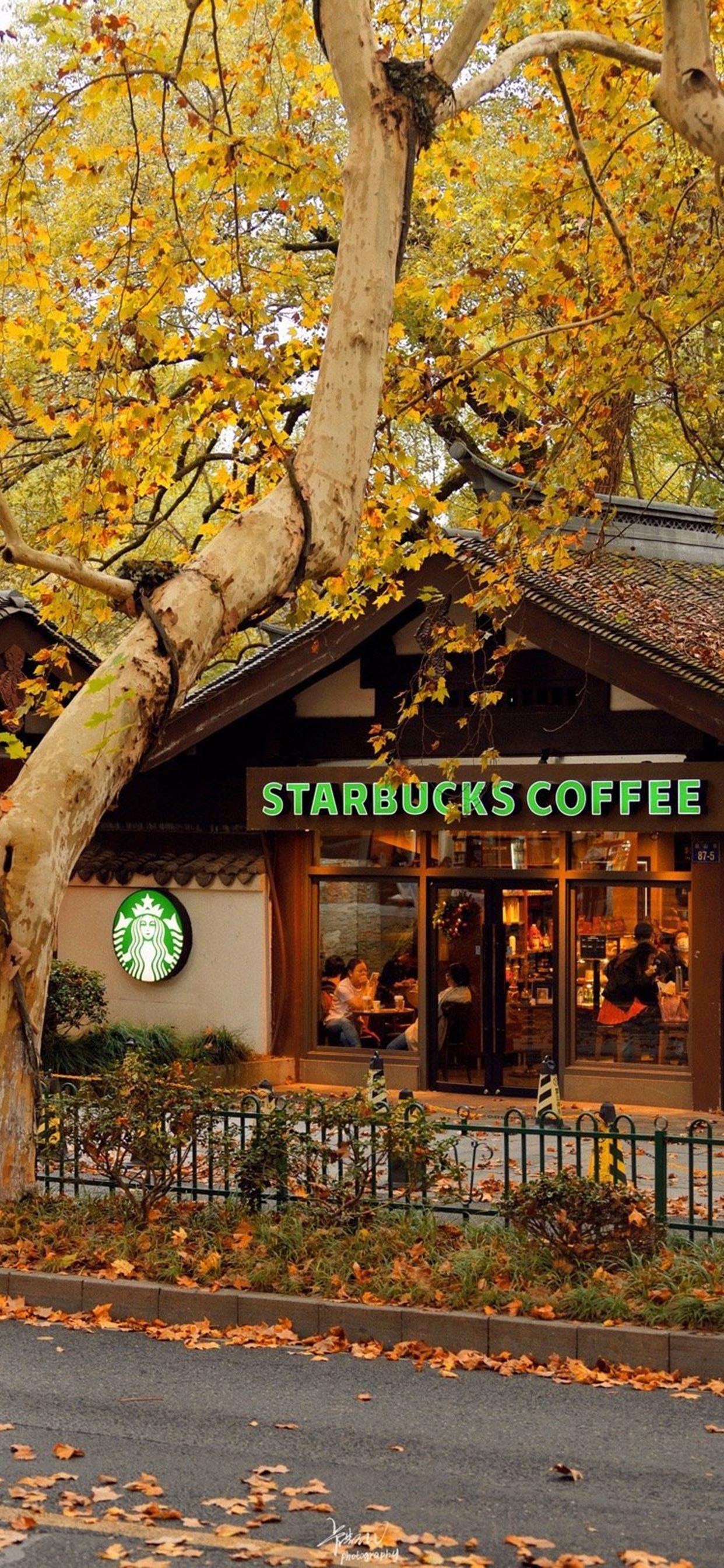 新年福禄寿喜财壁纸图片大全,平安喜乐诸事顺利岁岁平安壁纸