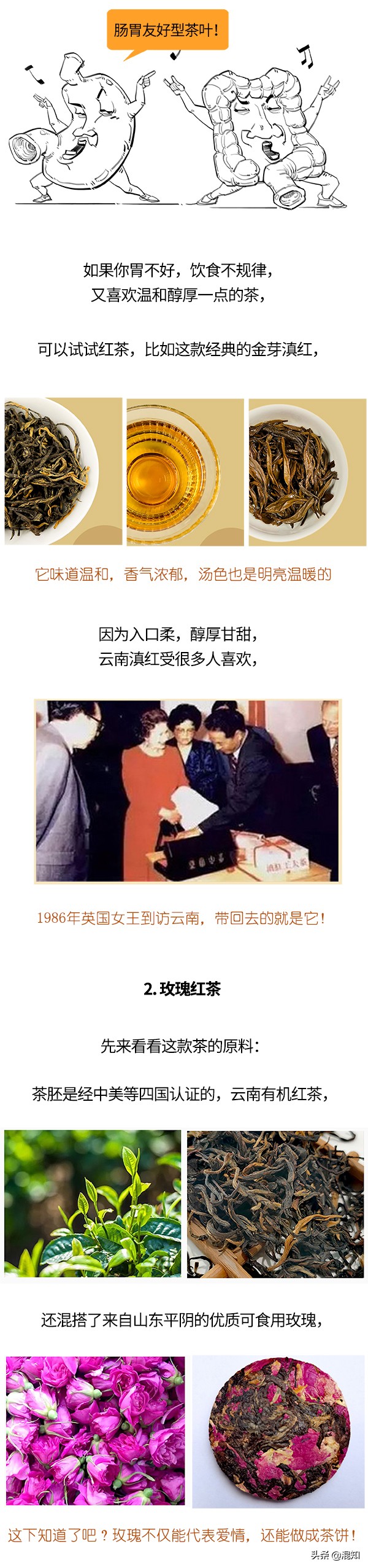 不懂茶的小白如何避坑选茶,茶小白速看新手买茶的八条铁律