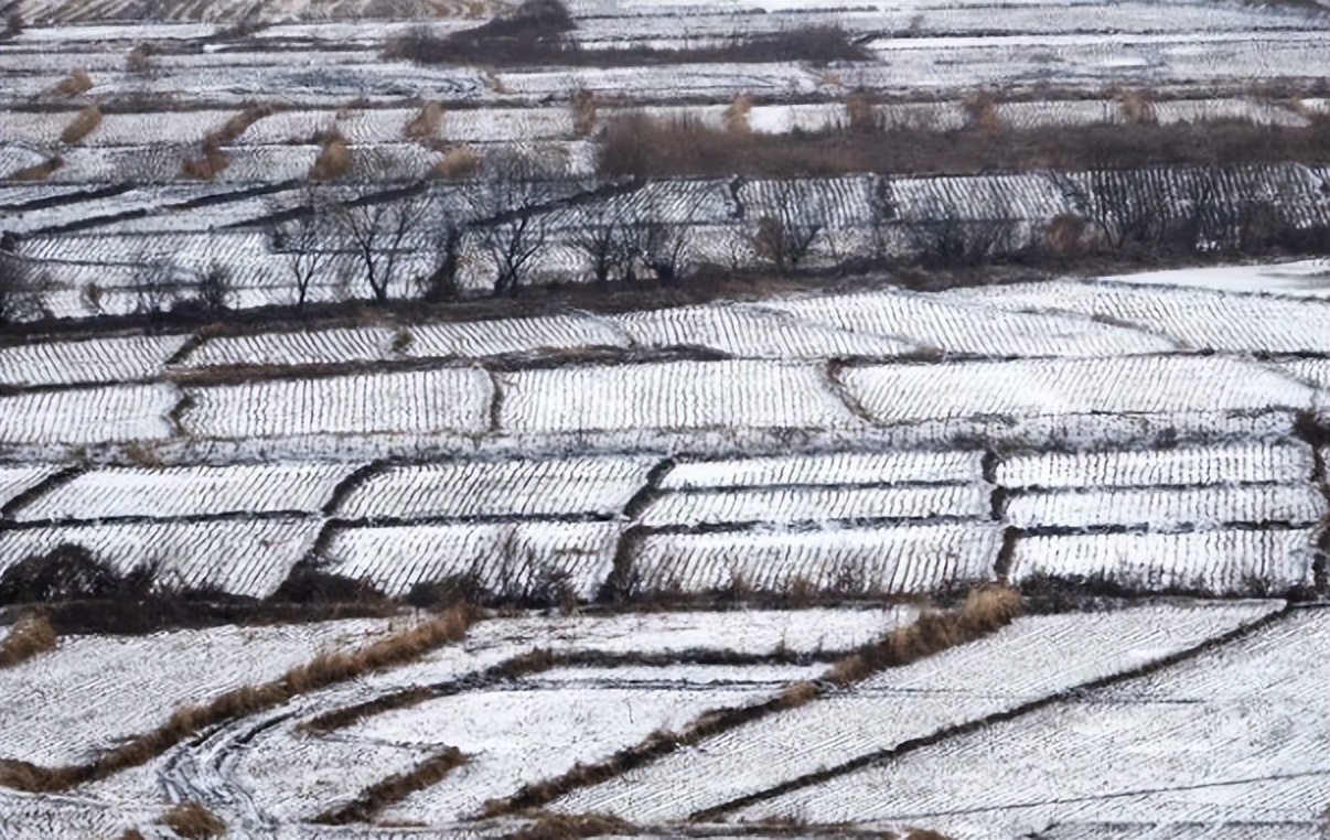 是谁在砸中国人的饭碗？400年才形成的黑土，4元一斤在网上被盗卖