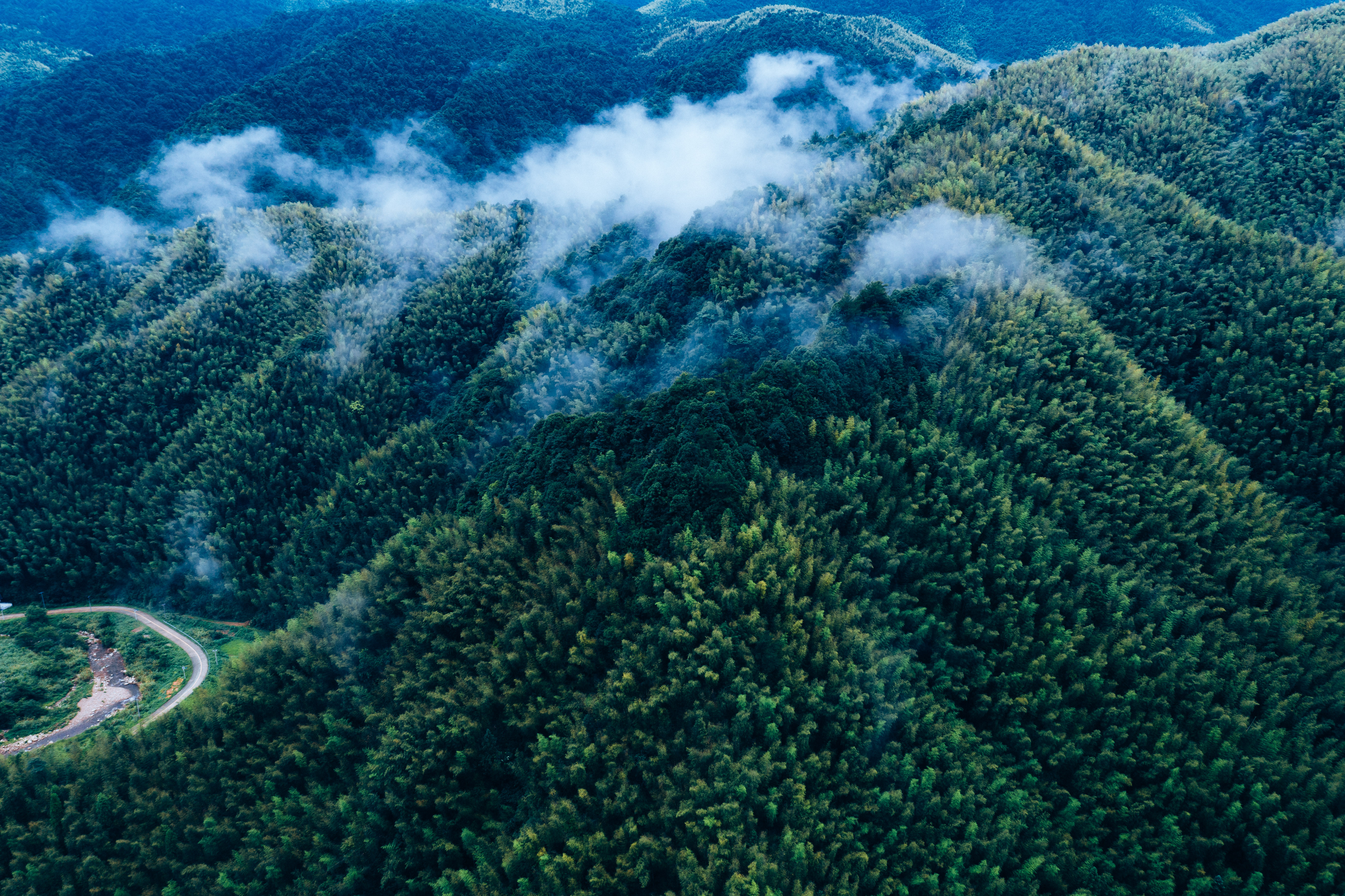 行游五府山：解密3宝，山野美味游走舌尖，传递平实的幸福