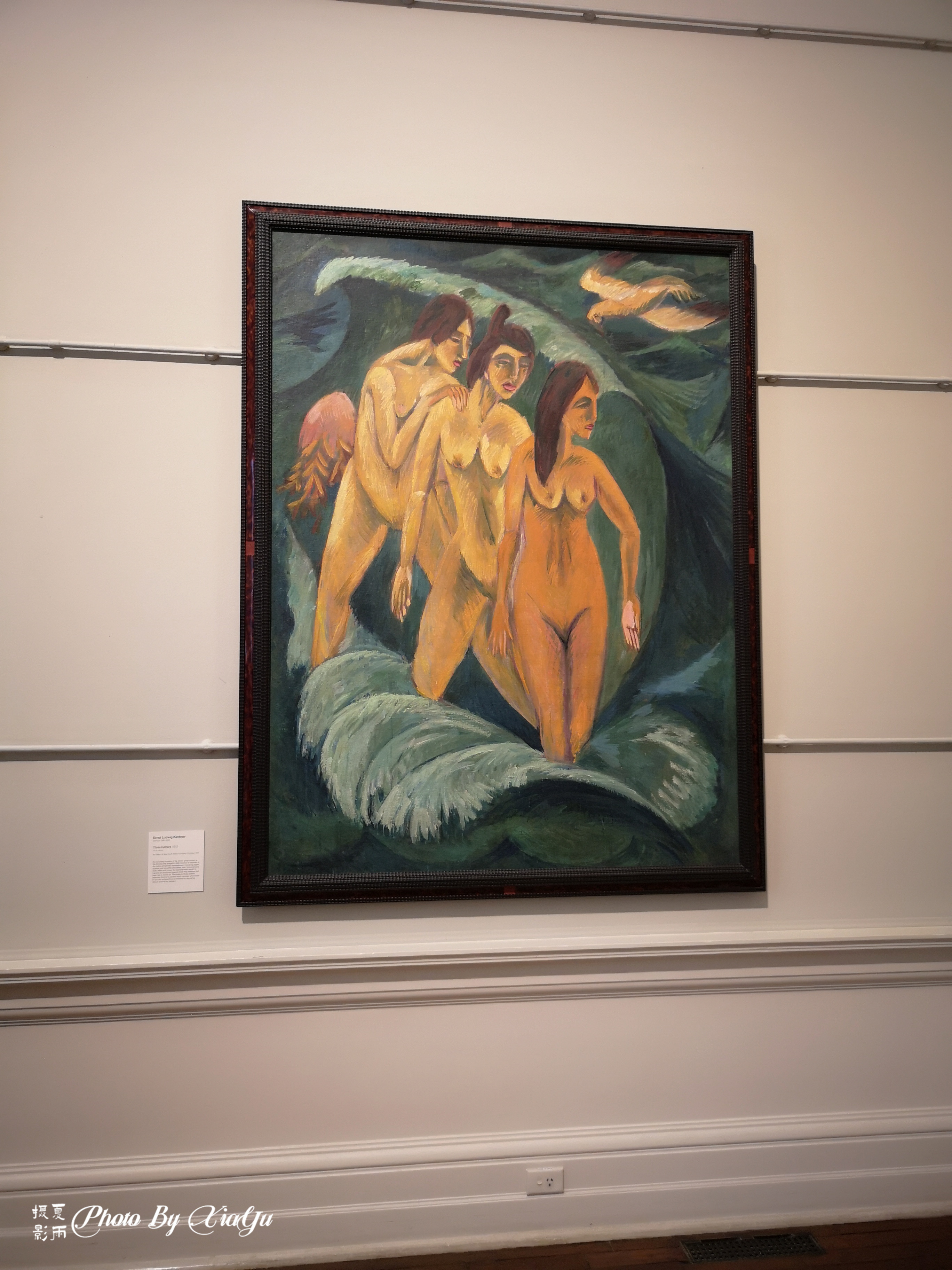 「畅游大洋洲」初识悉尼（五）