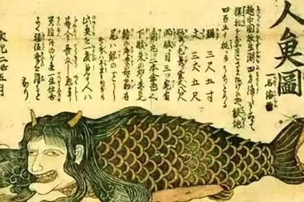 古书中的美人鱼到底是什么?古人说:遇见这种“海女”躲远点