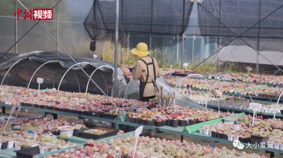 看了这些听都没听过的新兴职业,老母亲不淡定了