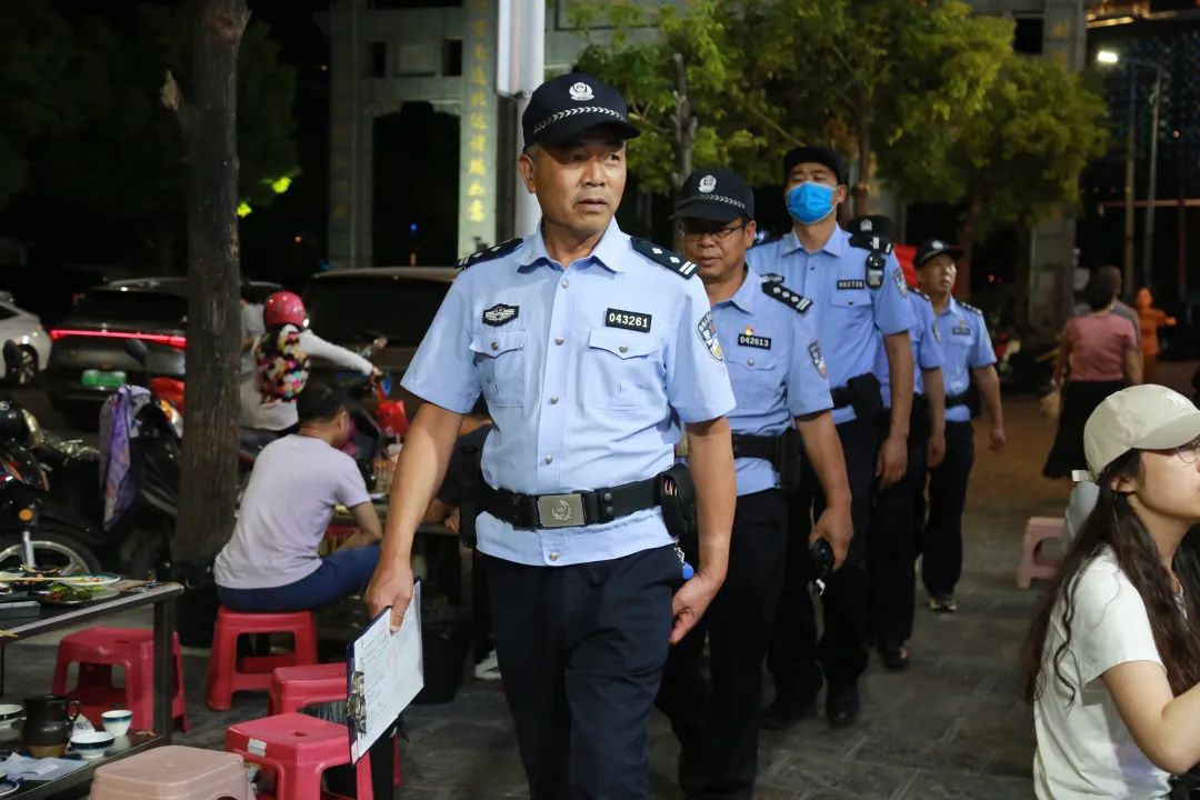 大理社会治安专项整治,大理市公安局治安突出问题整治