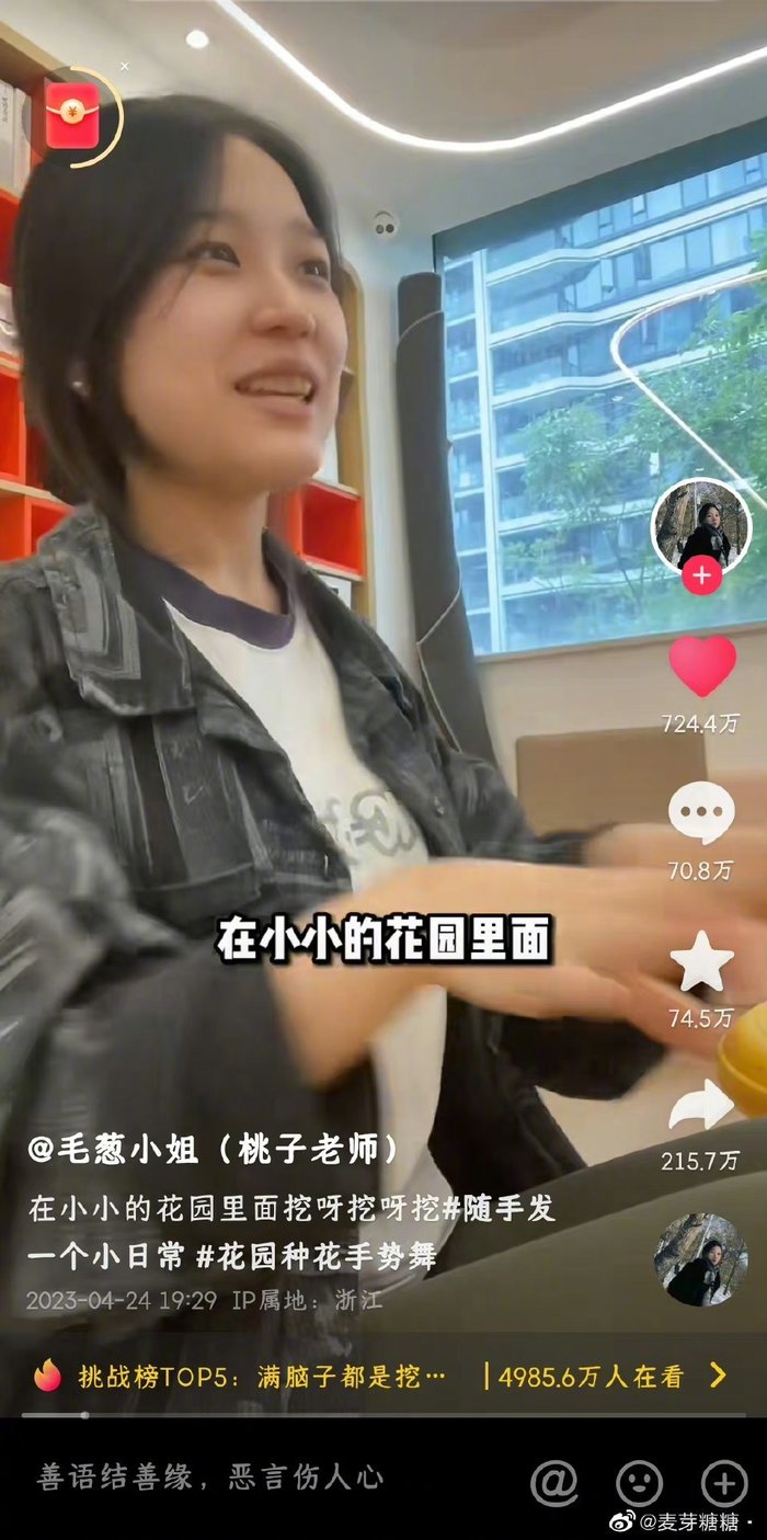 改编版挖呀挖呀搞笑歌曲,挖呀挖呀挖魔性洗脑神评论