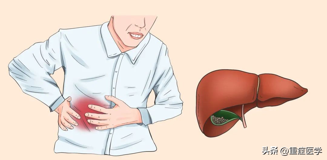 碱性磷酸酶升高是怎么引起的,碱性磷酸酶升高的原因分析