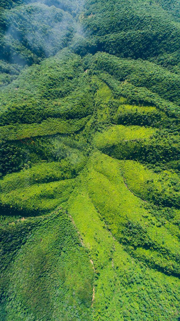 山系生活,高端玩家的夏天是25℃!