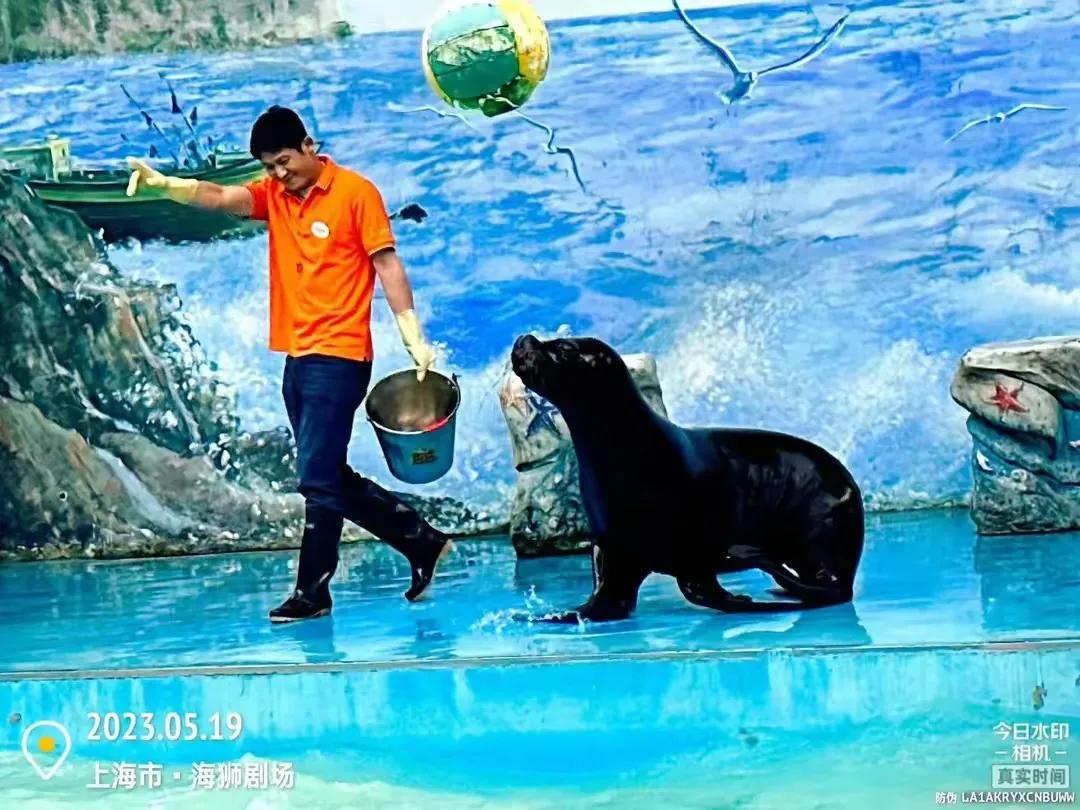 上海野生动物园和上海动物园,上海野生动物园过年营业时间