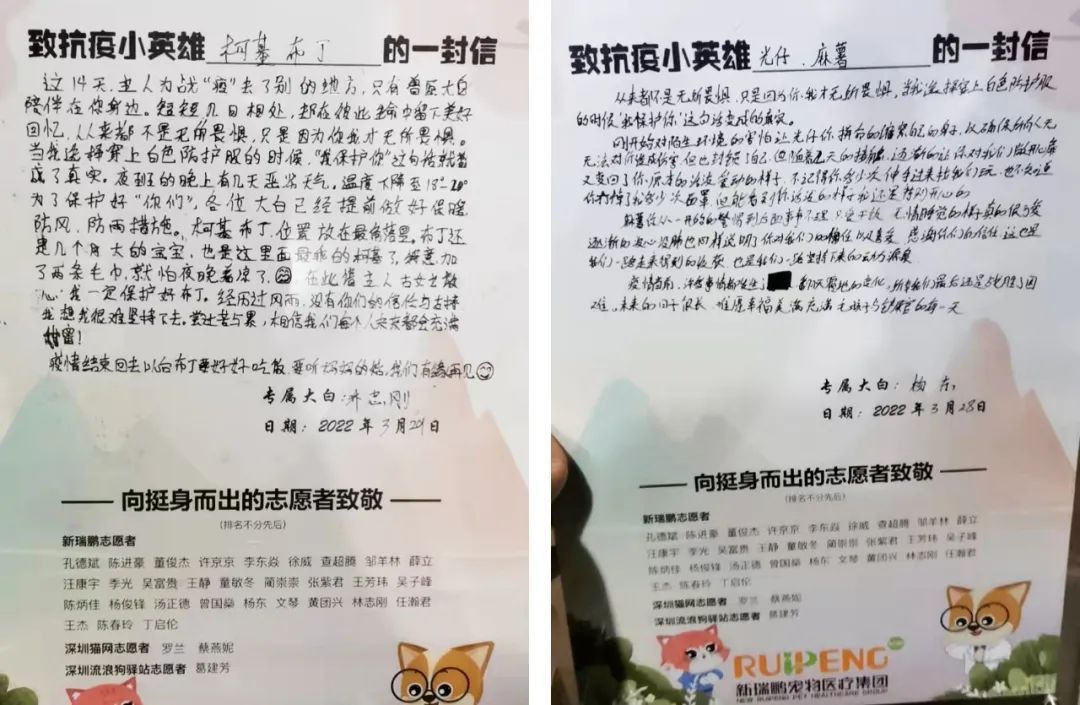 全国首个宠物方舱媒体评论,全国首个宠物方舱建成