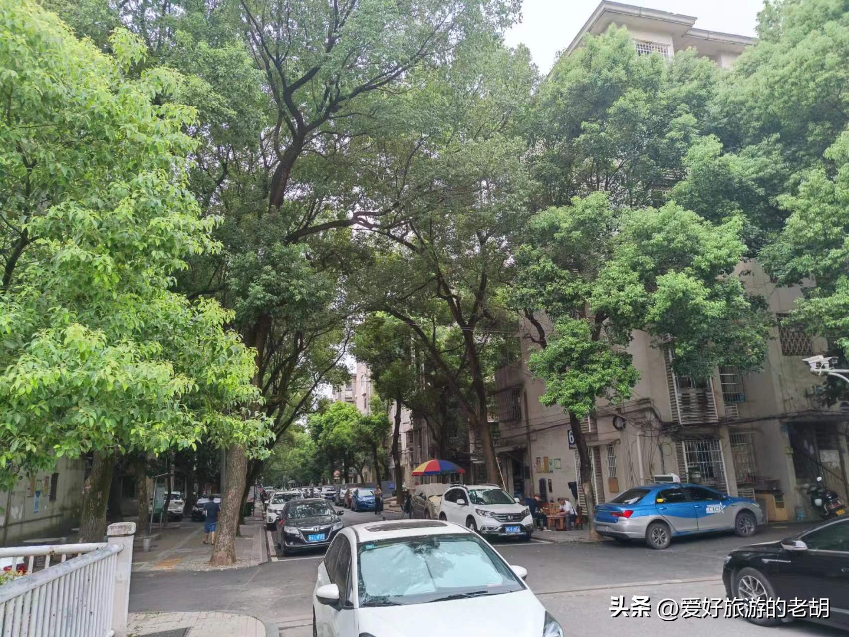 搬到长沙后破产的国企，职工家属区宛如小镇，环境依旧令人羡慕