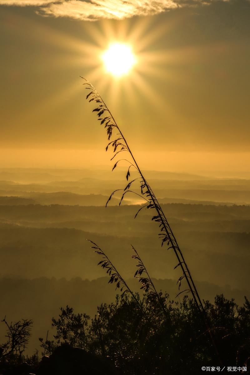 分享购物软件赚钱,分享购app