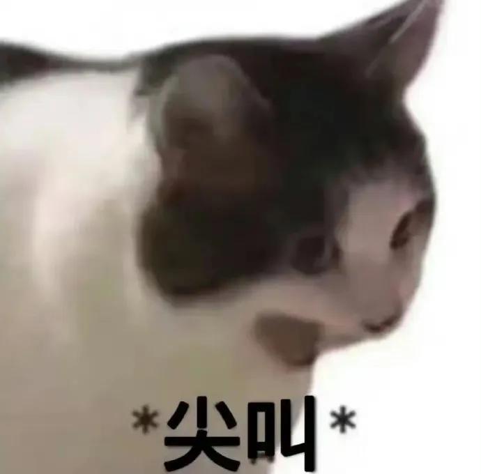 贾乃亮表情包很适合上班发疯,发疯文学表情包