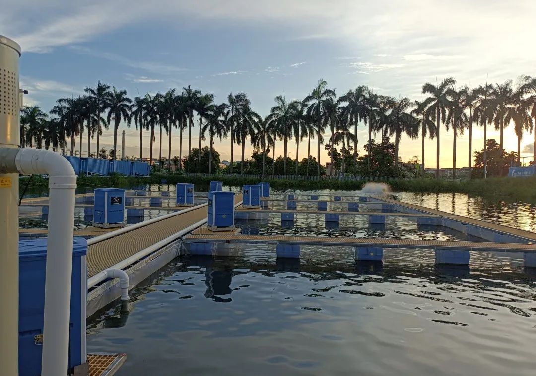 内循环环形跑道或圆形跑道养鱼,养鱼养殖场利润模式