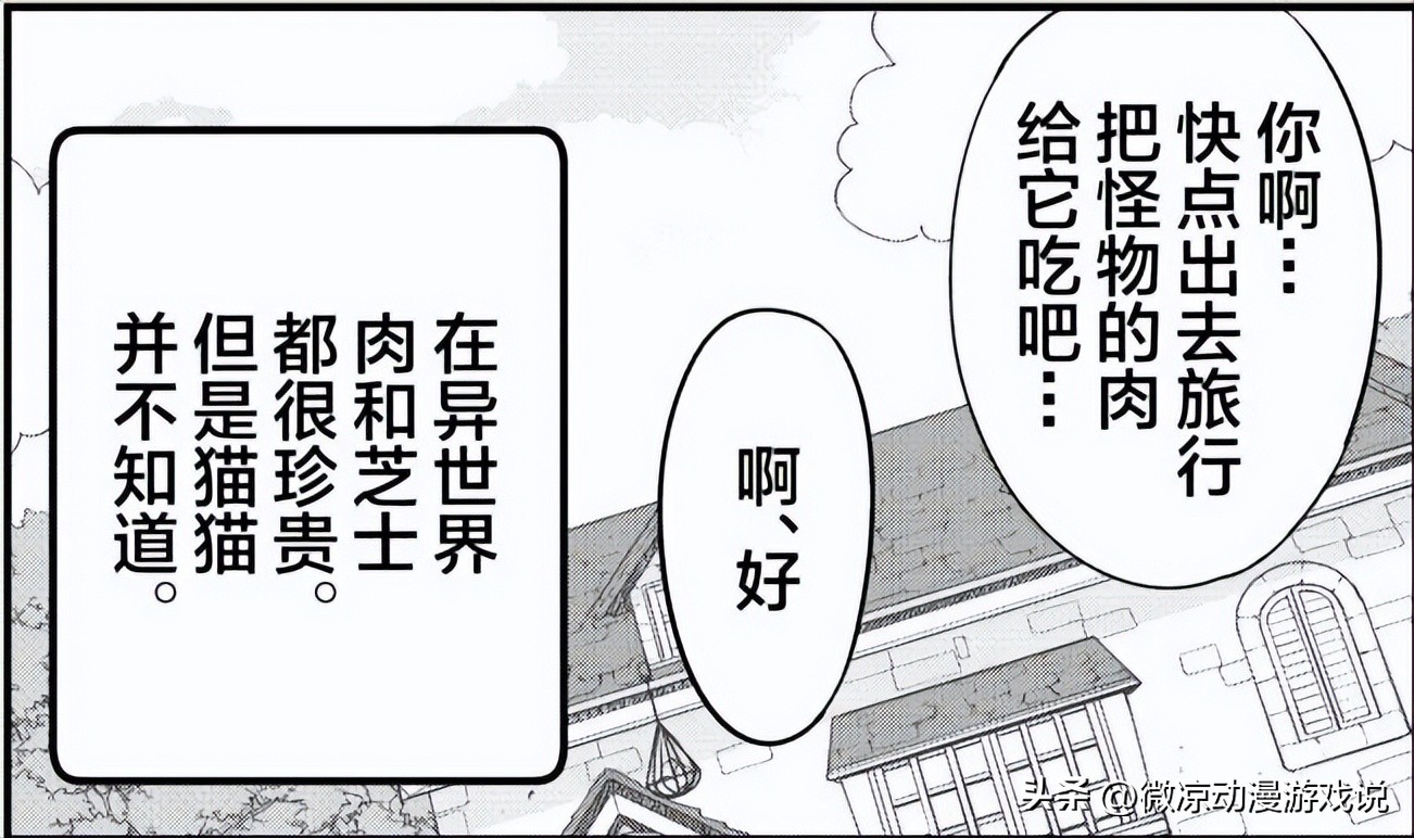 猫猫怎么可以这么乖,猫猫怎样玩耍才会开心