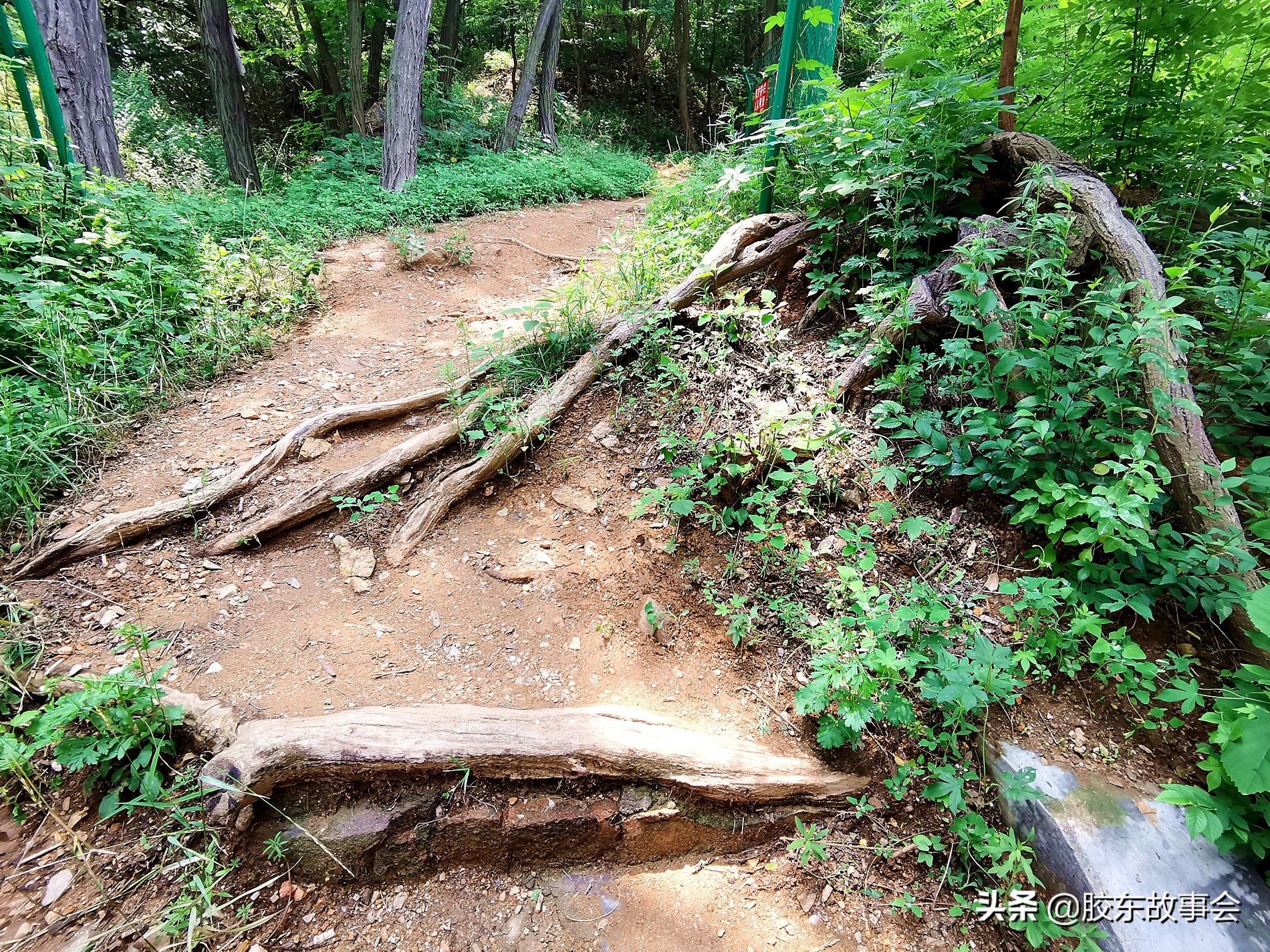 烟台南大街小璜山,烟台小璜山