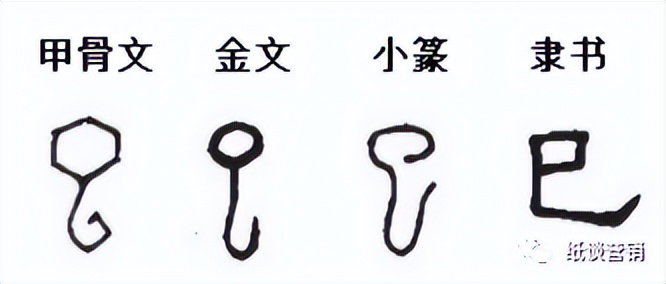 十二地支本身的字义,十二地支的详尽解释图