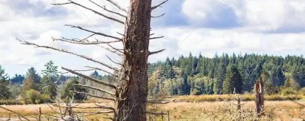 三观不合的经典句子说说,三观不合的人伤感说说