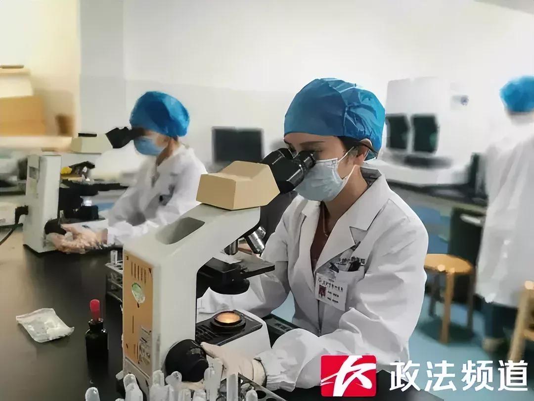 熊猫血和恐龙血是什么血型,最新稀有血型恐龙血