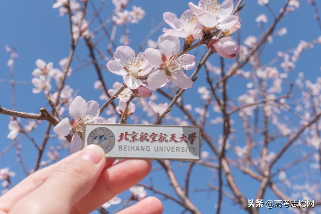 北京航空航天大学报考条件有哪些,北京航空航天大学参考书