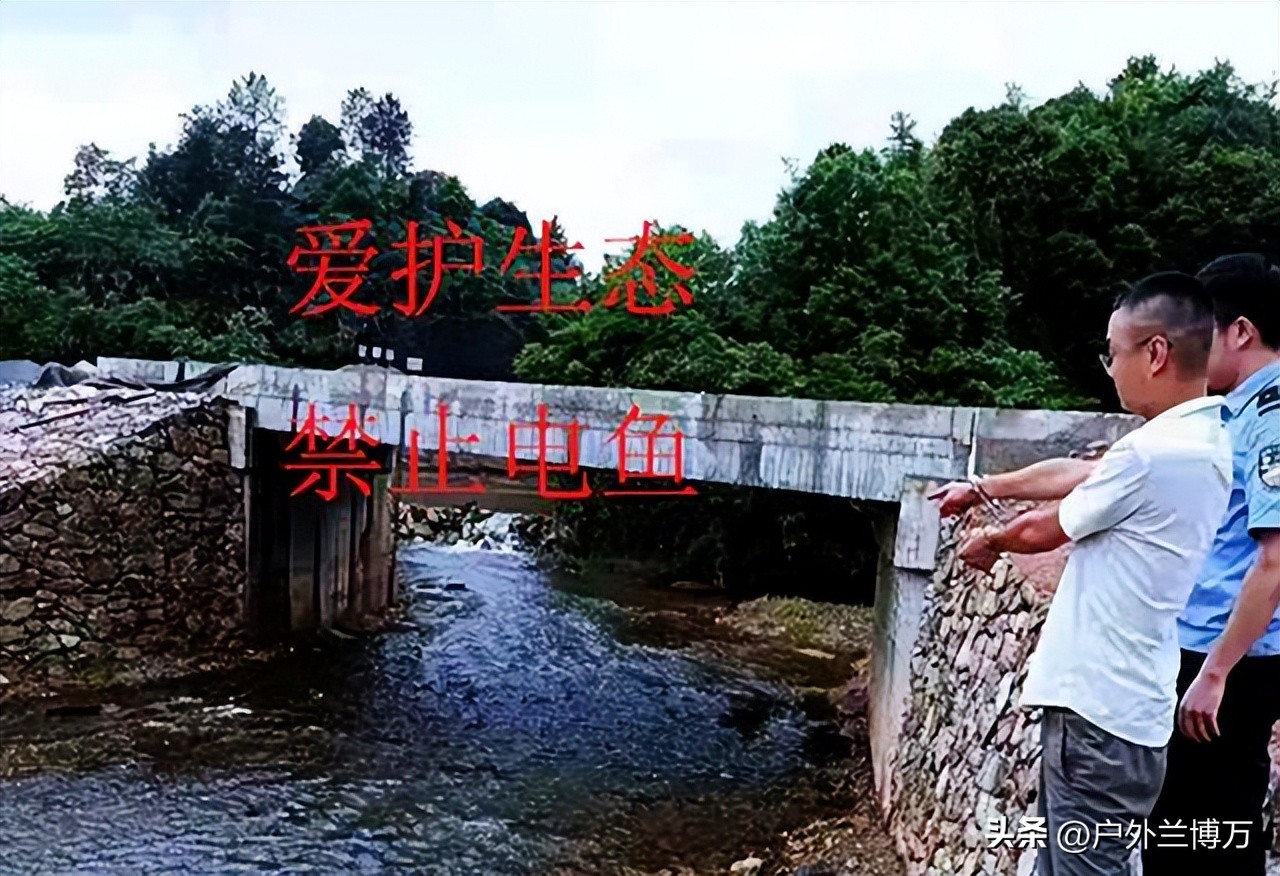 电鱼不小心被电了有危害吗,电鱼对人的危害大吗