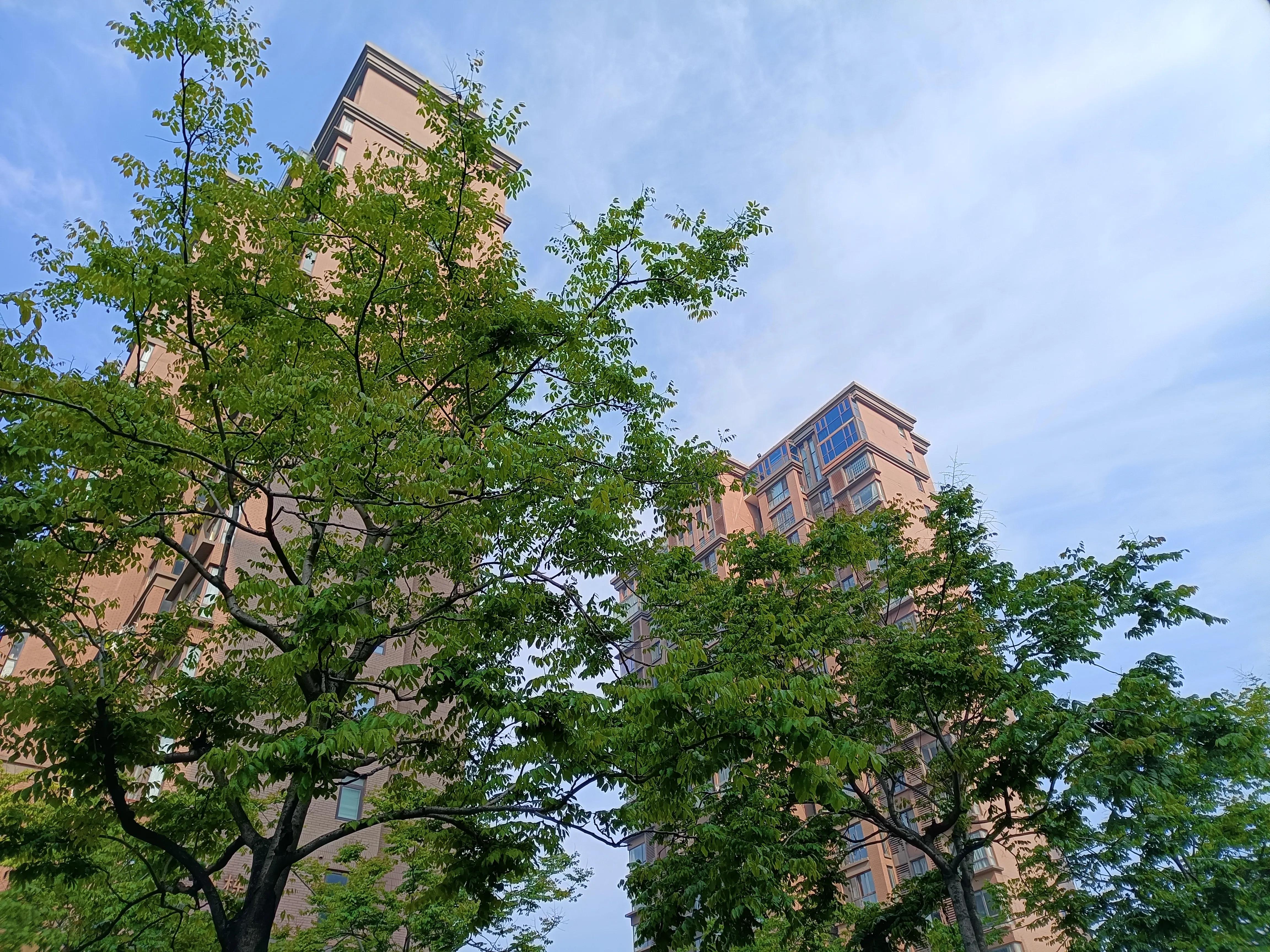 西安200平婚房、80万宝马车嫁女，8年恋爱3个月离婚，到底因为啥