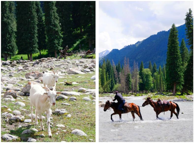适合夏天避暑旅游的地方,适合夏天避暑的旅游地方