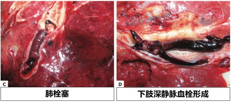 翟振国,翟振国医院