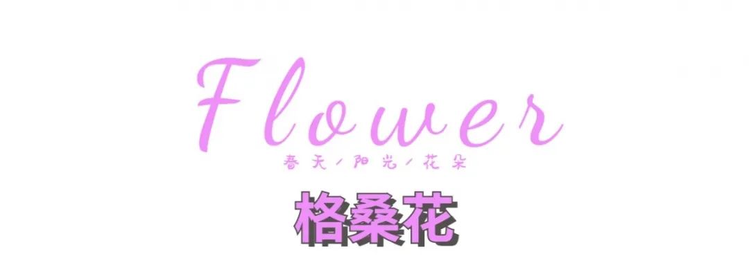 惠州拍照好看的推荐,惠州拍写真的地方推荐