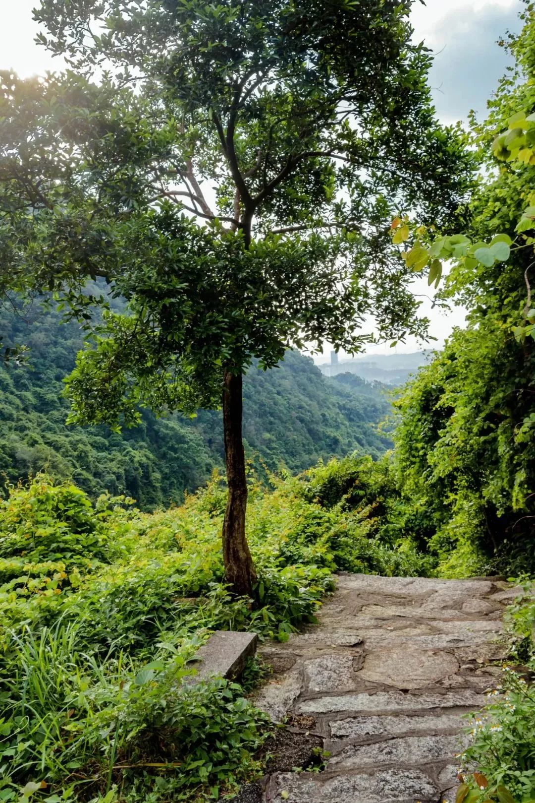 深圳户外游玩攻略,深圳户外好玩的地方推荐