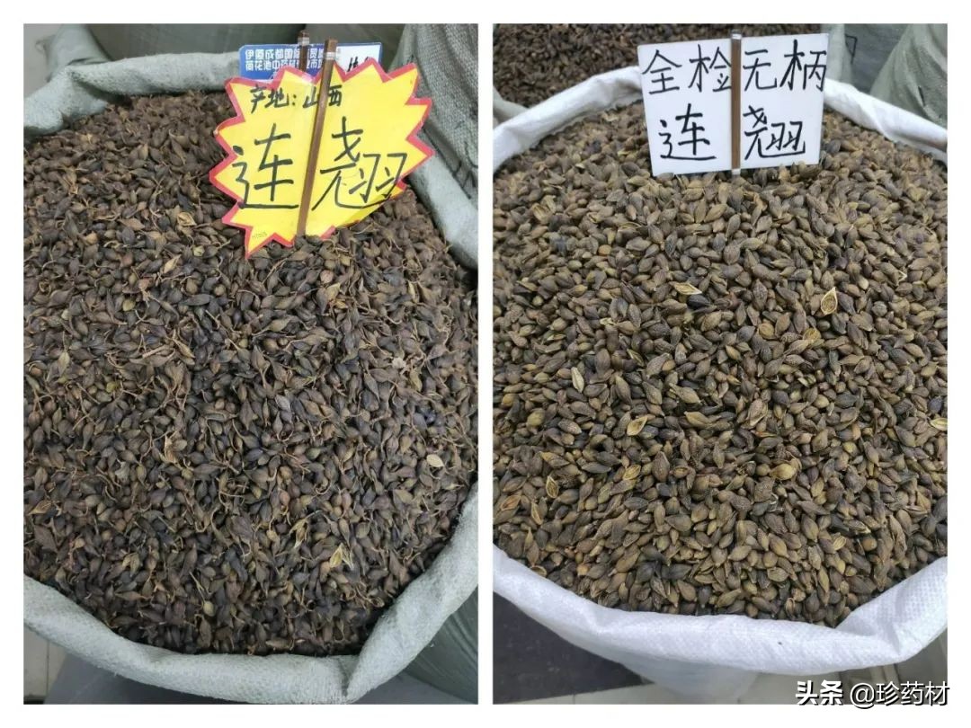 12月27日中药材市场快讯：连翘、柴胡、山楂、僵蚕、板蓝根、菊花