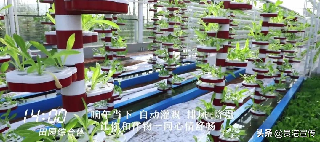 覃塘打卡拍照,覃塘平龙水库打卡