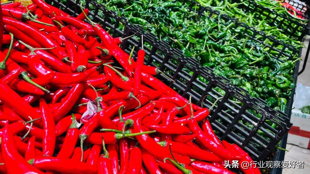 叮咚买菜盈利、京东入局，生鲜电商又可以了？