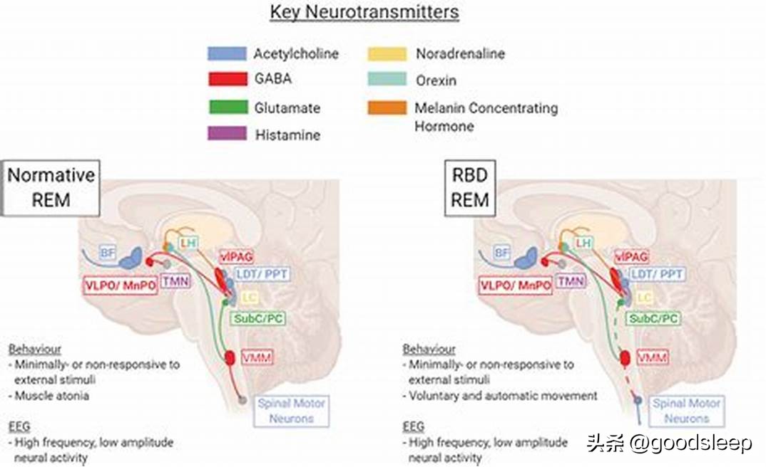 睡觉突然感觉自己清醒就是动不了,睡觉双脚不能动怎么回事